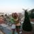 Helen Gingerella's profile image