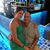 Holly Zeuthen's profile image
