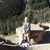 Cindy Thiesen Barry's profile image