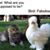 Diana Hartshorn-DeBarba's profile image