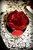 Soraya R.'s profile image