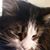 Marilyn Martin's profile image