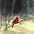 Kathy Delp's profile image