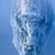 Mark Rossow's profile image