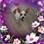 Loa Gafford's profile image