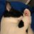Dana Felt Bohn's profile image