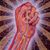 David Lauterstein's profile image