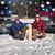 Dianne LaChance's profile image