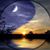 Debbie Petry Killen's profile image