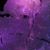 Chrissie Rowland's profile image