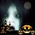Kaye Sharp Hartwell's profile image