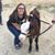 Krista Lawless's profile image