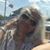 Amalia Sandra's profile image