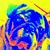 Darvon Dicky Dicky's profile image