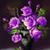 Rebecca Jean Davies-Woods's profile image