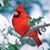 Mary Pat Smith's profile image