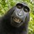 Larry Tippie's profile image