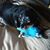 Jennifer Thomas Bogart's profile image