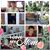Suzanne Buckley Spelbring's profile image