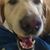 Tony Melgar's profile image
