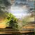 Debilynne Stover's profile image