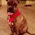 Ryan A Woodworth's profile image