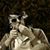 Malek Sobhy's profile image