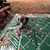 Diane Roberts Berthelette's profile image