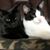 Karen McGough Ruben's profile image