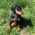 Ronald Dettman's profile image