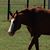 Darla Miller's profile image