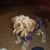 Laura Phillips White's profile image
