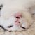 Shawna Pooler's profile image