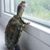 Melody Handley Sexton's profile image