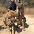 Brandon Goold's profile image