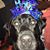 Crystal Gross's profile image