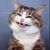 Cesarina Paula's profile image