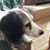Susan Wilson's profile image