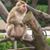 Steve Stockdale's profile image