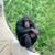 Kevin McCraith's profile image