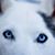 Tim Staton's profile image