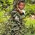 Muhammad Ernest Erlangga's profile image