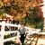 Jamie Sue Hawkins's profile image