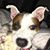 Jamie Conoboy Lukow's profile image
