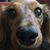 Kat Knipp's profile image