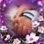 Jackie Dean's profile image