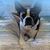 Doug Parsons's profile image