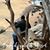 Jen Goke's profile image