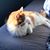 Marianne M. Hopko's profile image