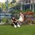 Steffanie Johns's profile image